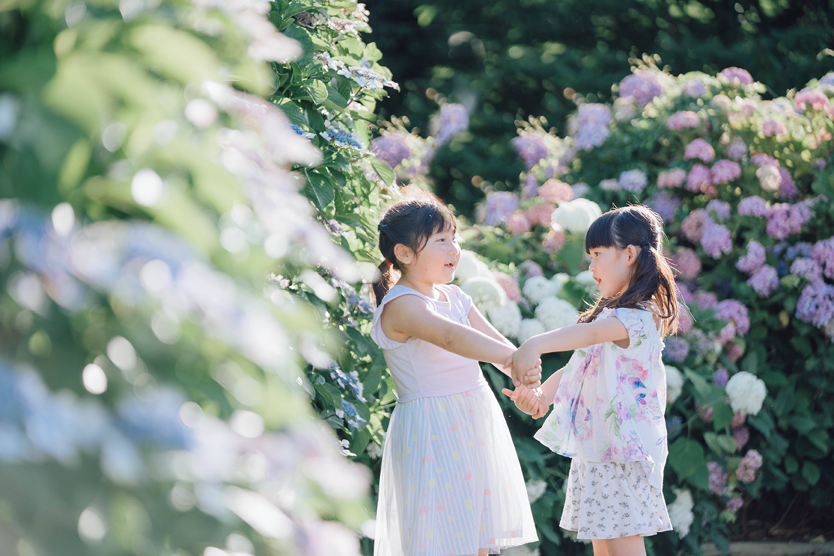 紫陽花の咲き乱れる中、向かい合う女の子たち