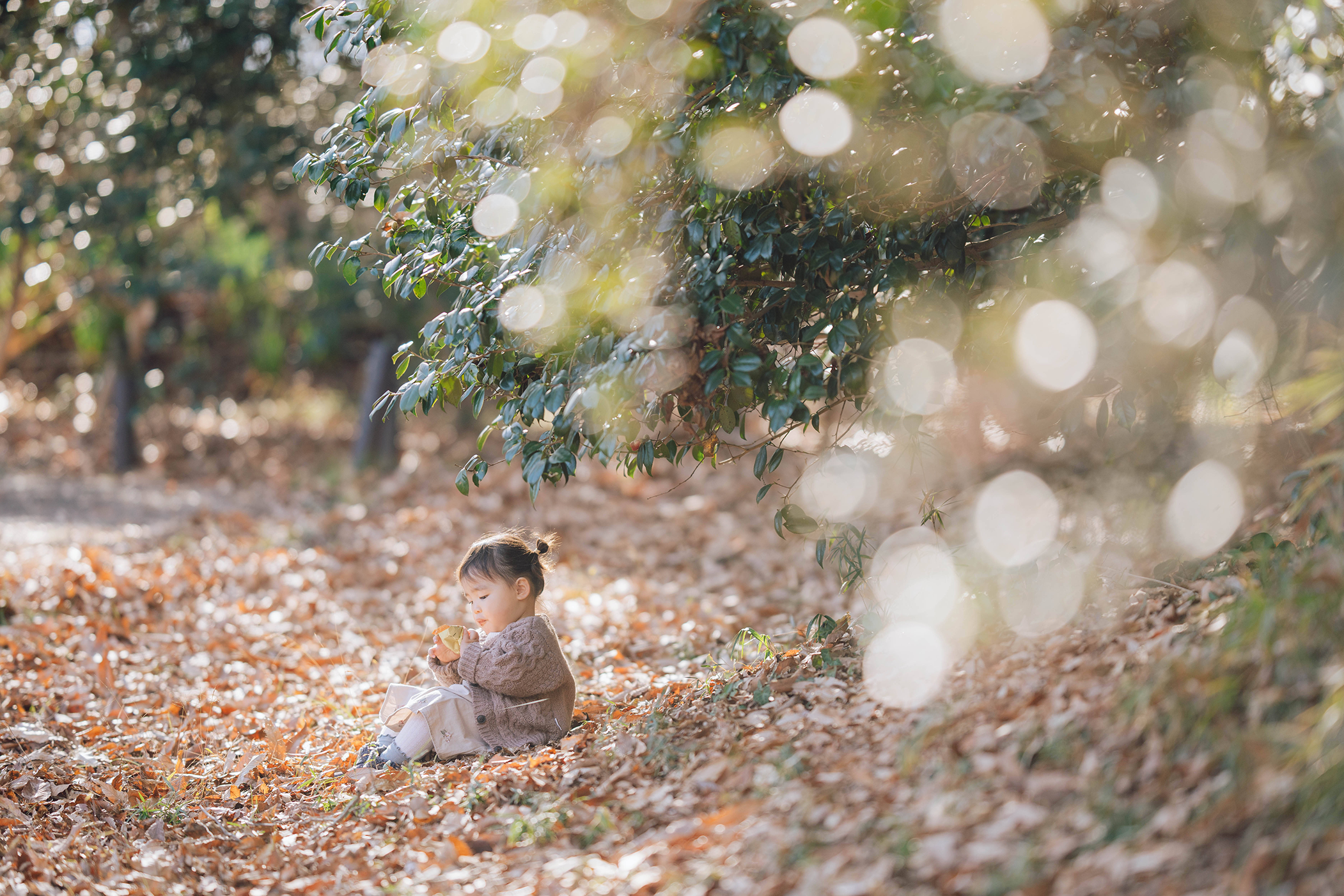 紅葉の落ち葉で遊ぶ女の子