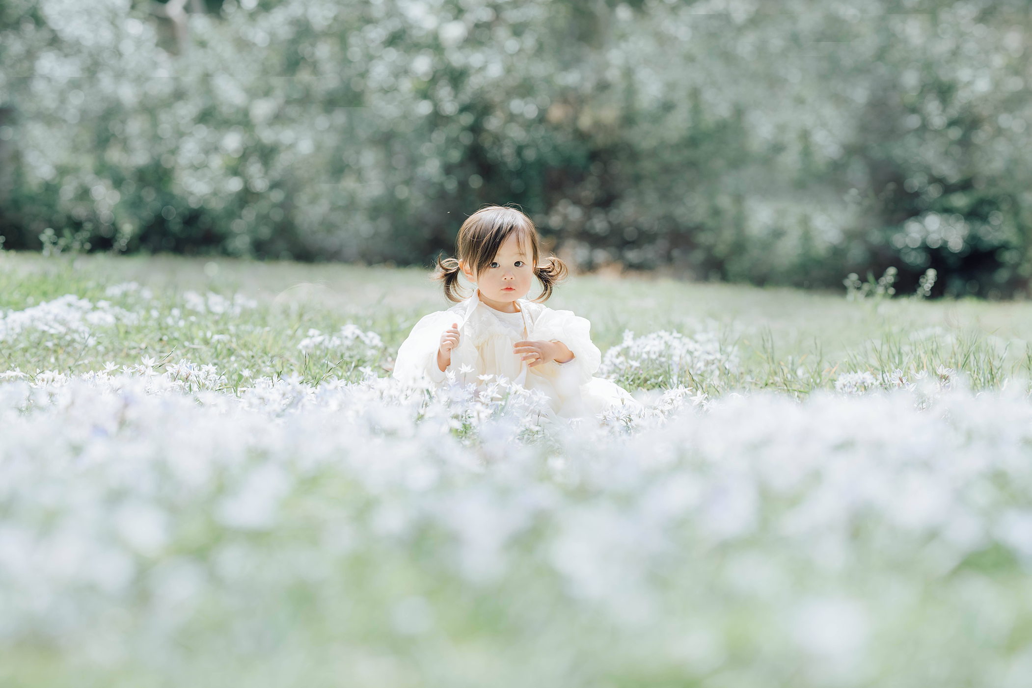 草原に座る白い服の女の子